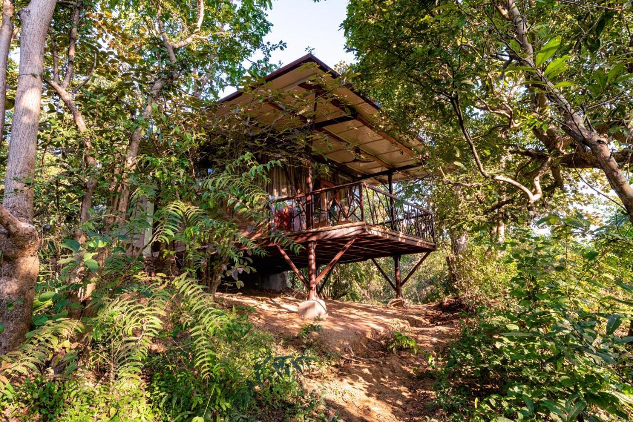 Kanha Jungle Camp 외부 사진