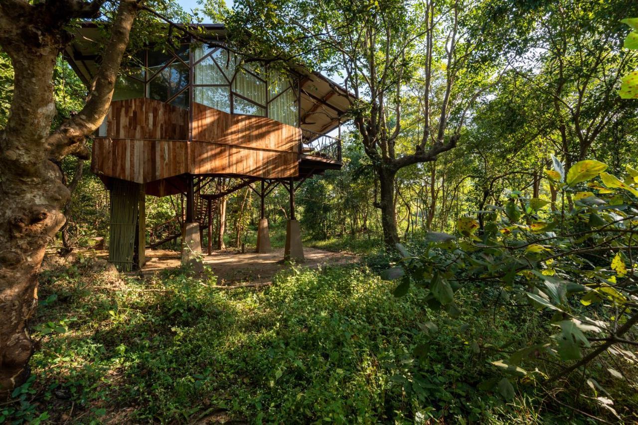 Kanha Jungle Camp 외부 사진