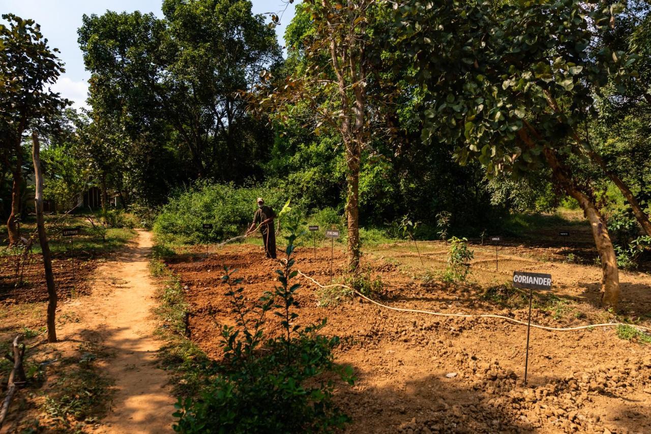 Kanha Jungle Camp 외부 사진